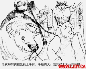 第45页图