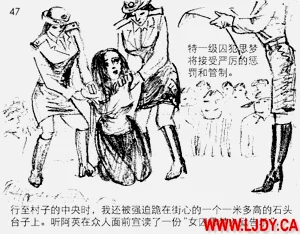 第48页图