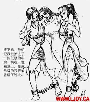 第67页图