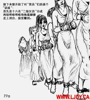 第82页图