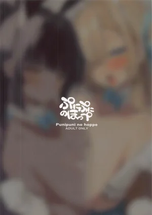 第22頁圖