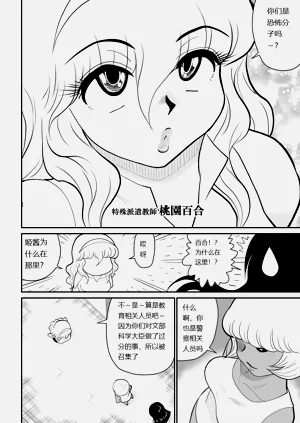 第74頁圖