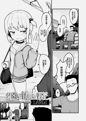公園に咲いた野花圖