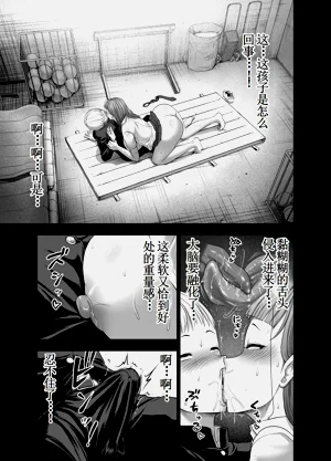 第17页图