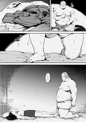 第17页图