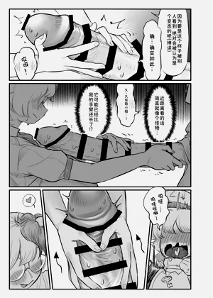 第27页图