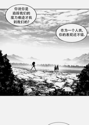 第242頁圖
