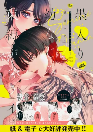 第330頁圖