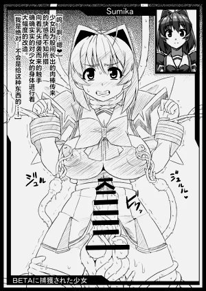 第229頁圖