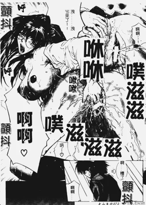 第75頁圖
