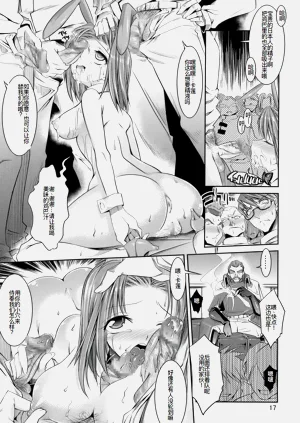 第17頁圖