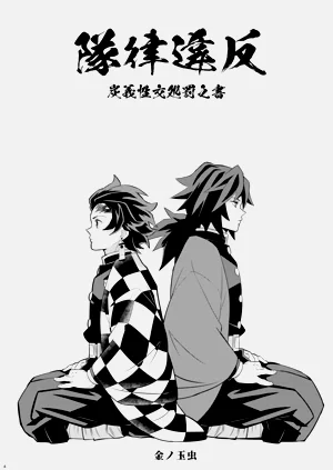 第4页图