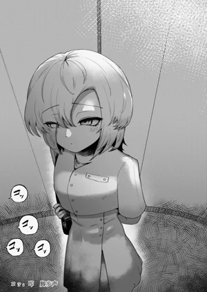 第67頁圖
