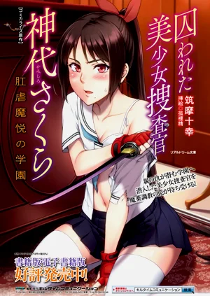 第266頁圖