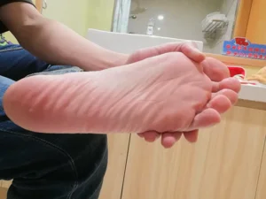 第208頁圖