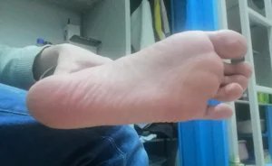 第230頁圖