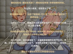 第333頁圖