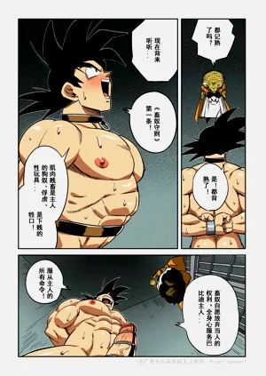 第25页图