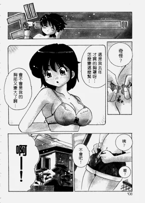 第107頁圖