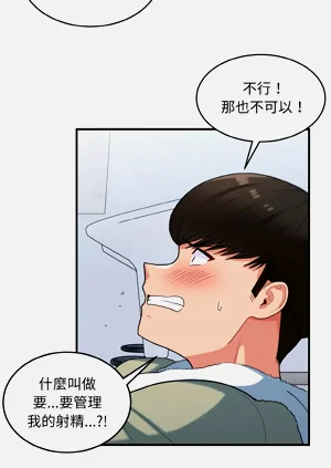 第382頁圖