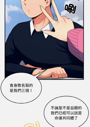 第443頁圖