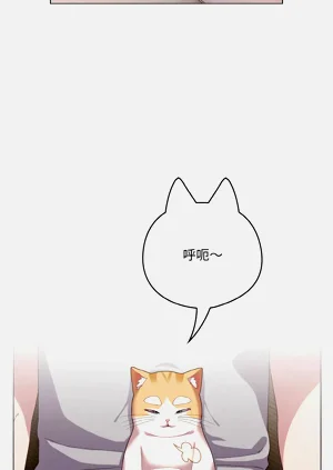 第61頁圖