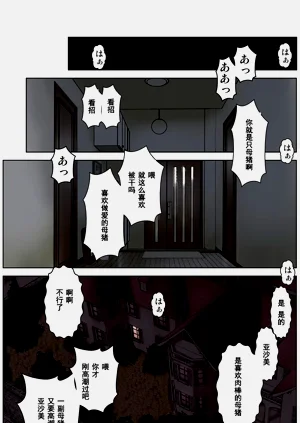 第196頁圖