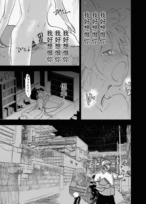 第33页图