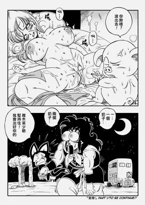 第29頁圖