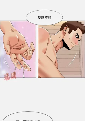 第313页图