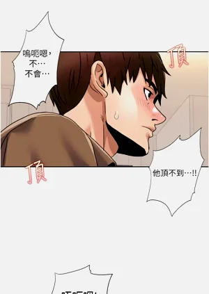 第333页图