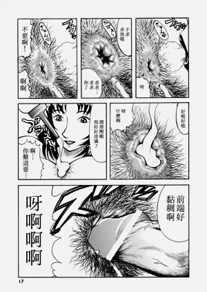 第16頁圖