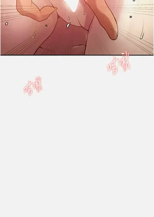 第313頁圖