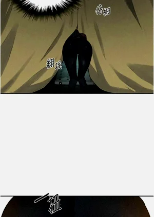 第393頁圖