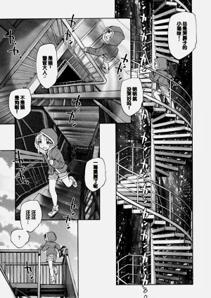 第29頁圖
