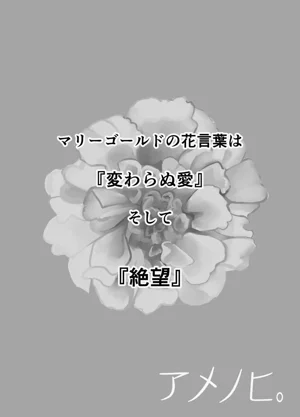 第37页图