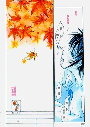 第176頁圖