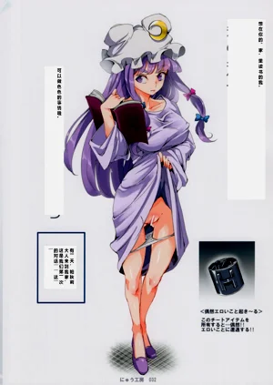 第13頁圖
