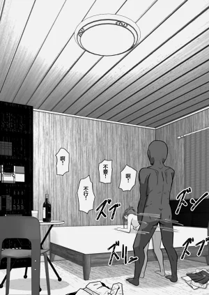 第43頁圖