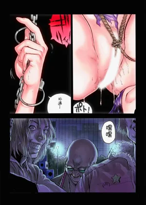 第2頁圖