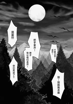 第12页图