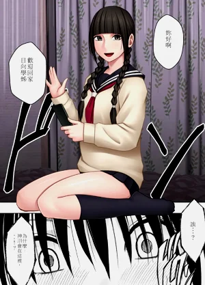 第86頁圖