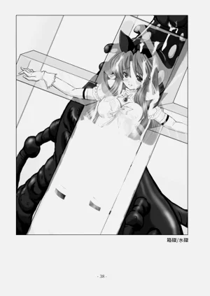 第39頁圖