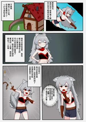 第4页图