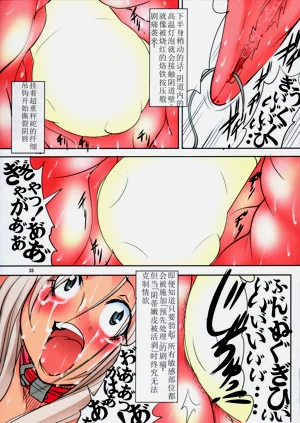 第33页图