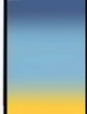 第142頁圖