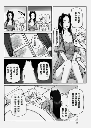 第29頁圖