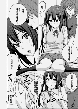 第4页图