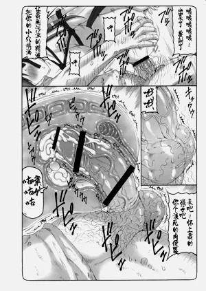 第290頁圖