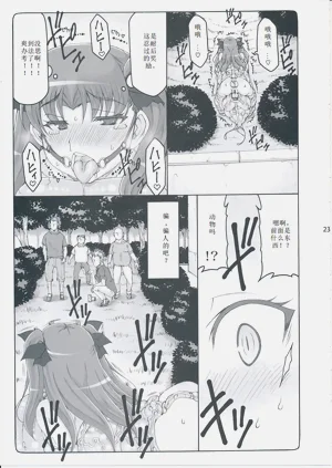 第331頁圖